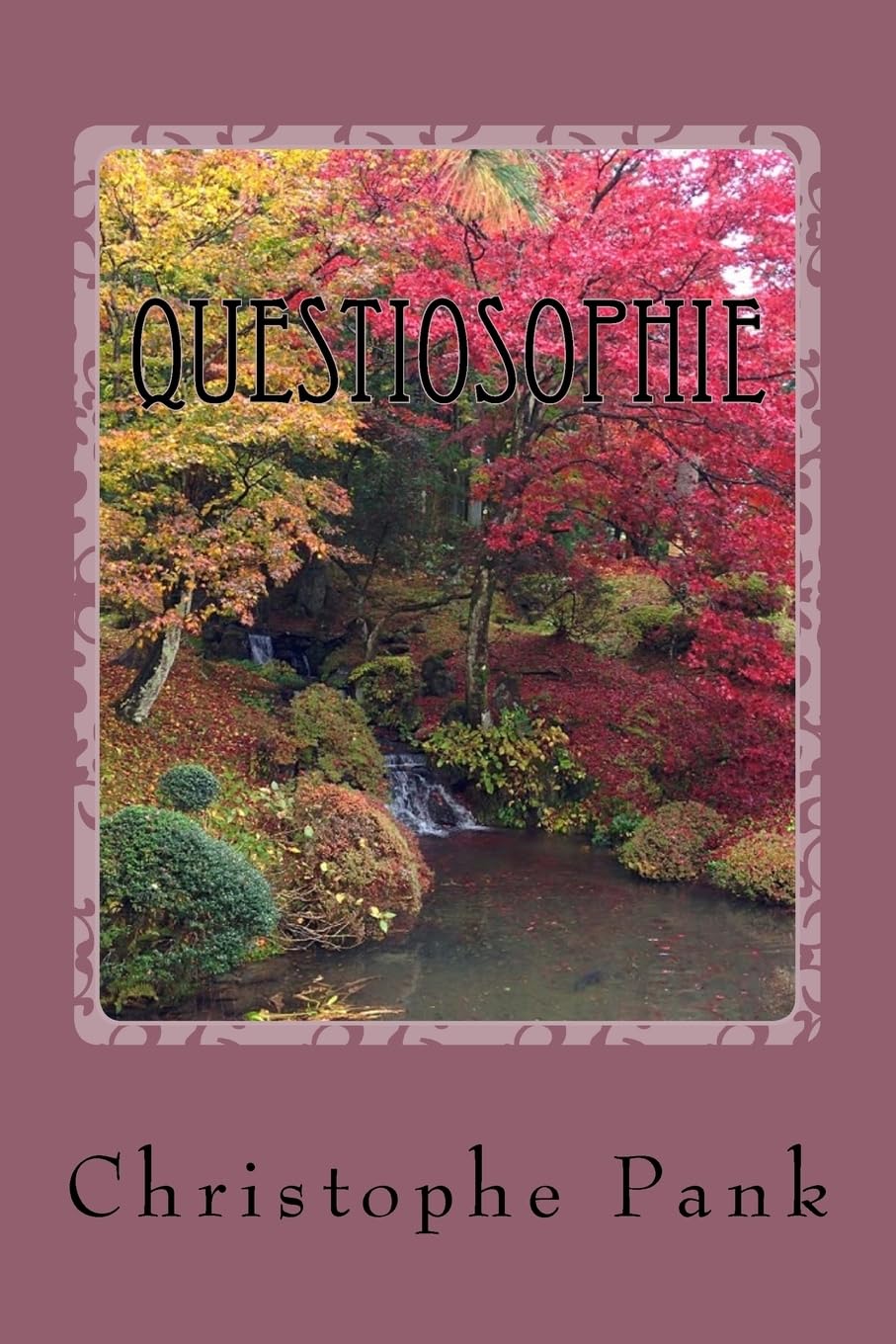 Questiosophie: Apprendre a poser des questions pour mieux decouvrir (Cadre, Posture et Questiosophie, Band 1) Psychology