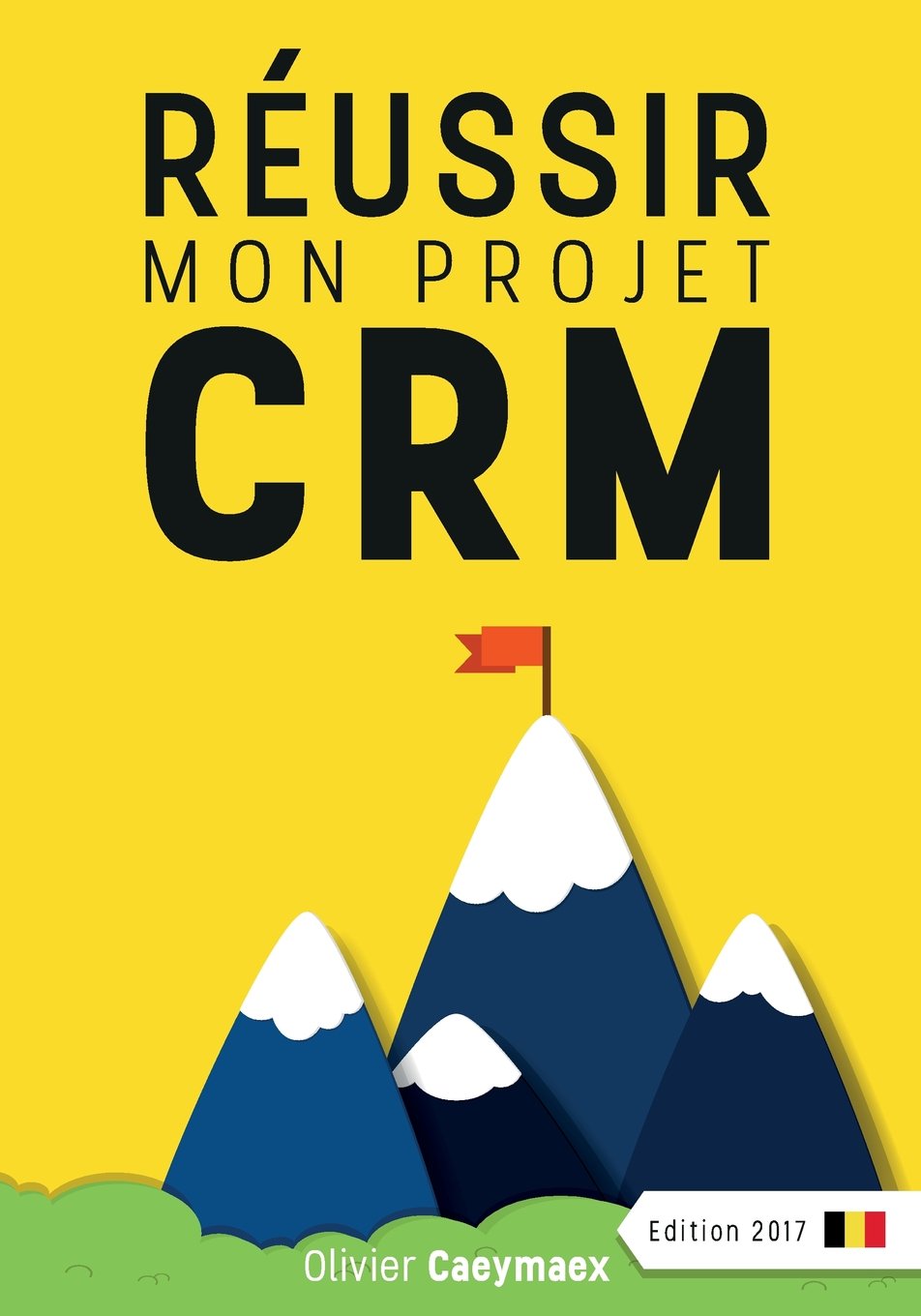 Réussir mon projet CRM: Belgique édition 2017 Business, Finance & Career