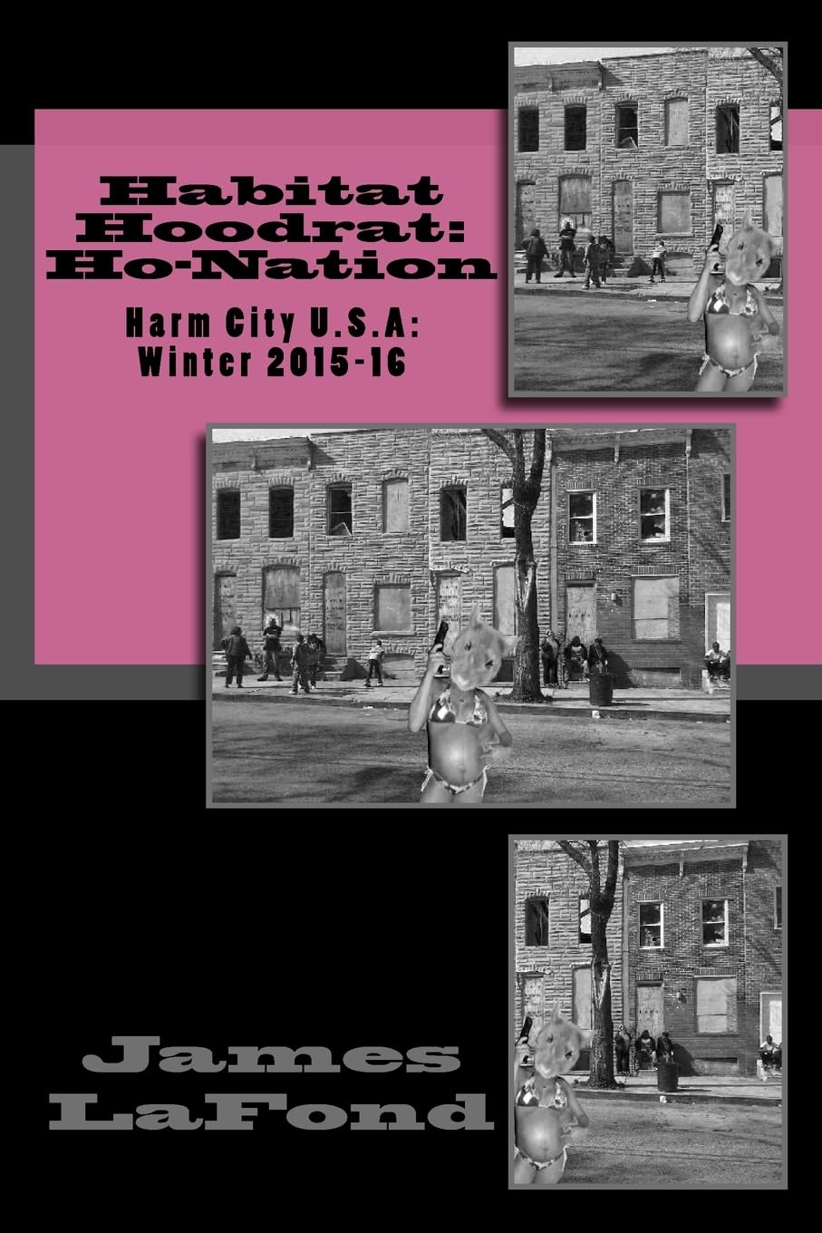 Habitat Hoodrat: Ho-Nation: Harm City U.S.A: Winter 2015-16 Social Sciences