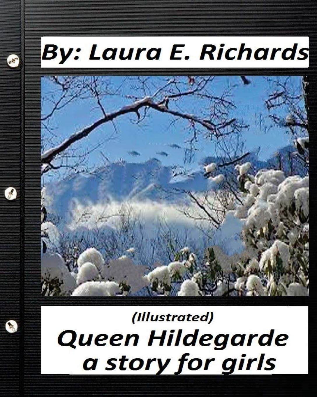 Queen Hildegarde; a story for girls.Laura E. Richards (Children's Classics): (Illustrated) Contemporary literature