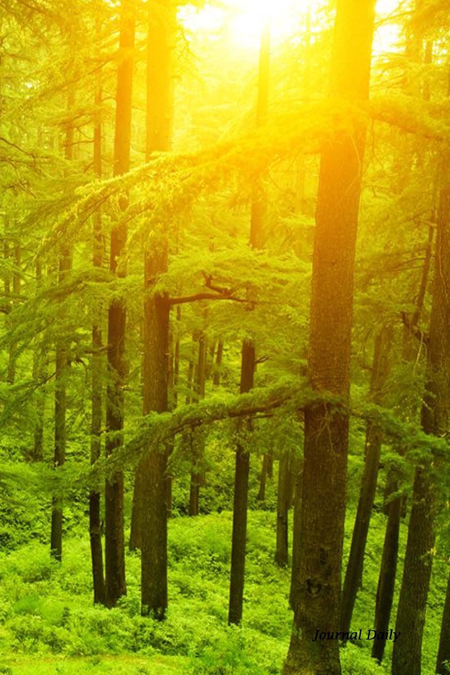 Journal Daily: Green Enchanted Forest and Tress, Lined Blank Journal Book, 6 x 9, 200 Pages Media & Communication