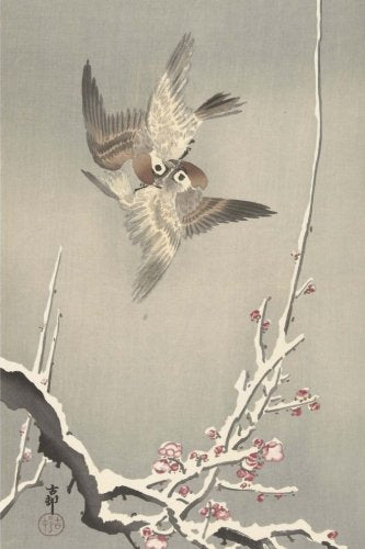 Sparrows and snowy plum tree, Ohara Koson. Blank journal: 160 blank pages, 6 x 9 inch (15.24 x 22.86 cm) Soft cover Essays & Short Stories