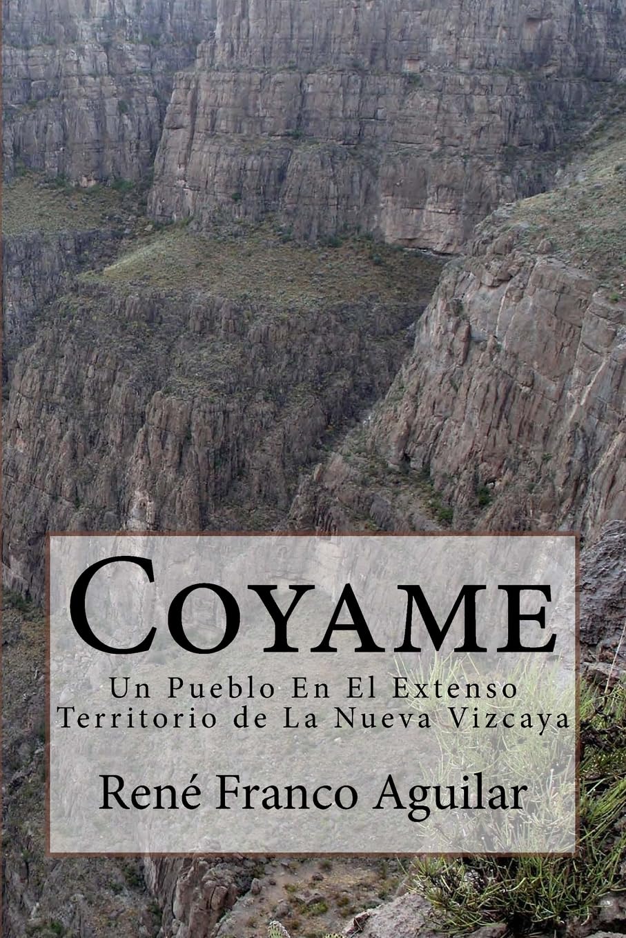 Coyame: Un Pueblo En El Extenso Territorio de La Nueva Vizcaya Social Sciences