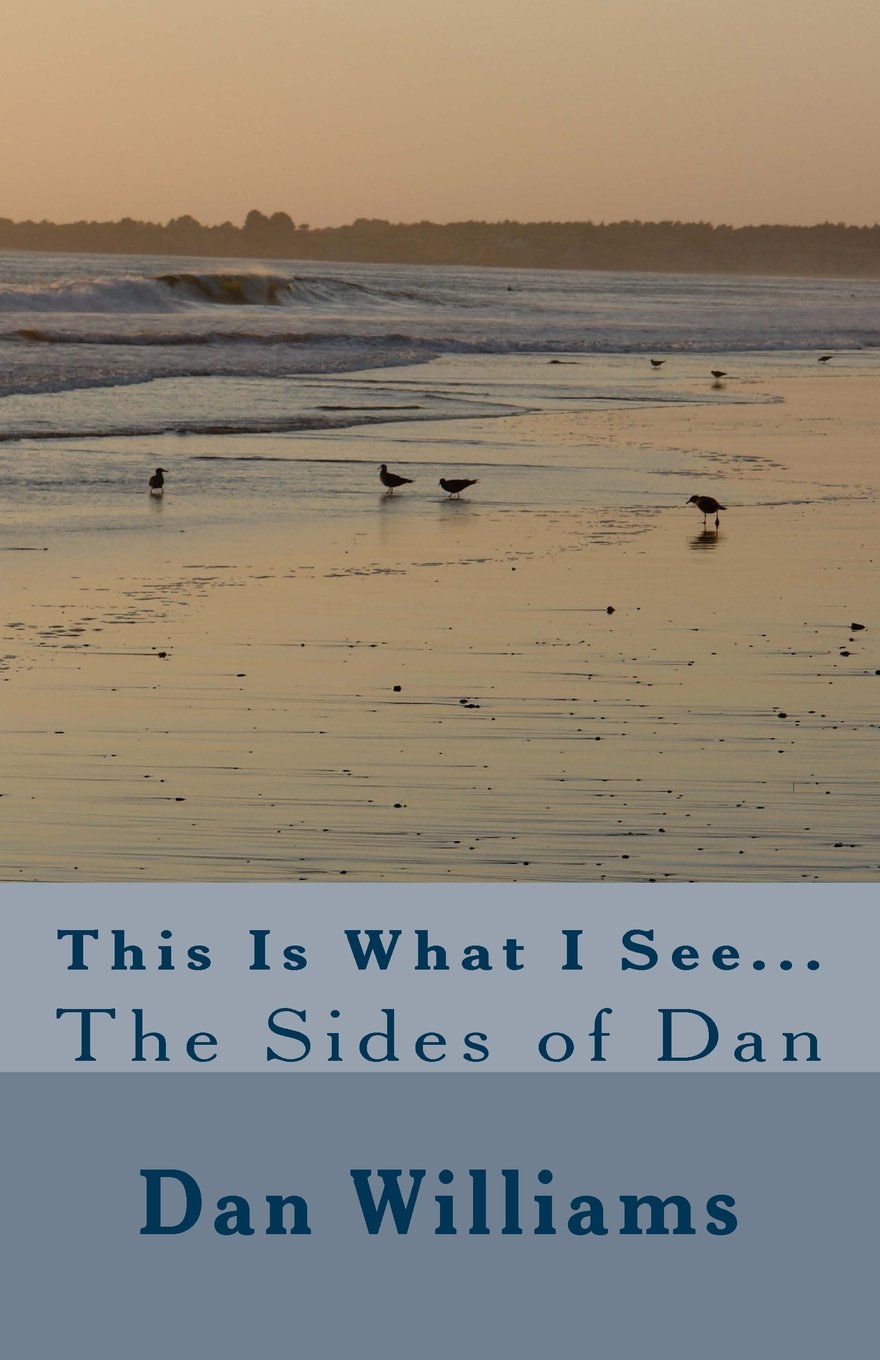 This Is What I See...: The Sides of Dan Memories