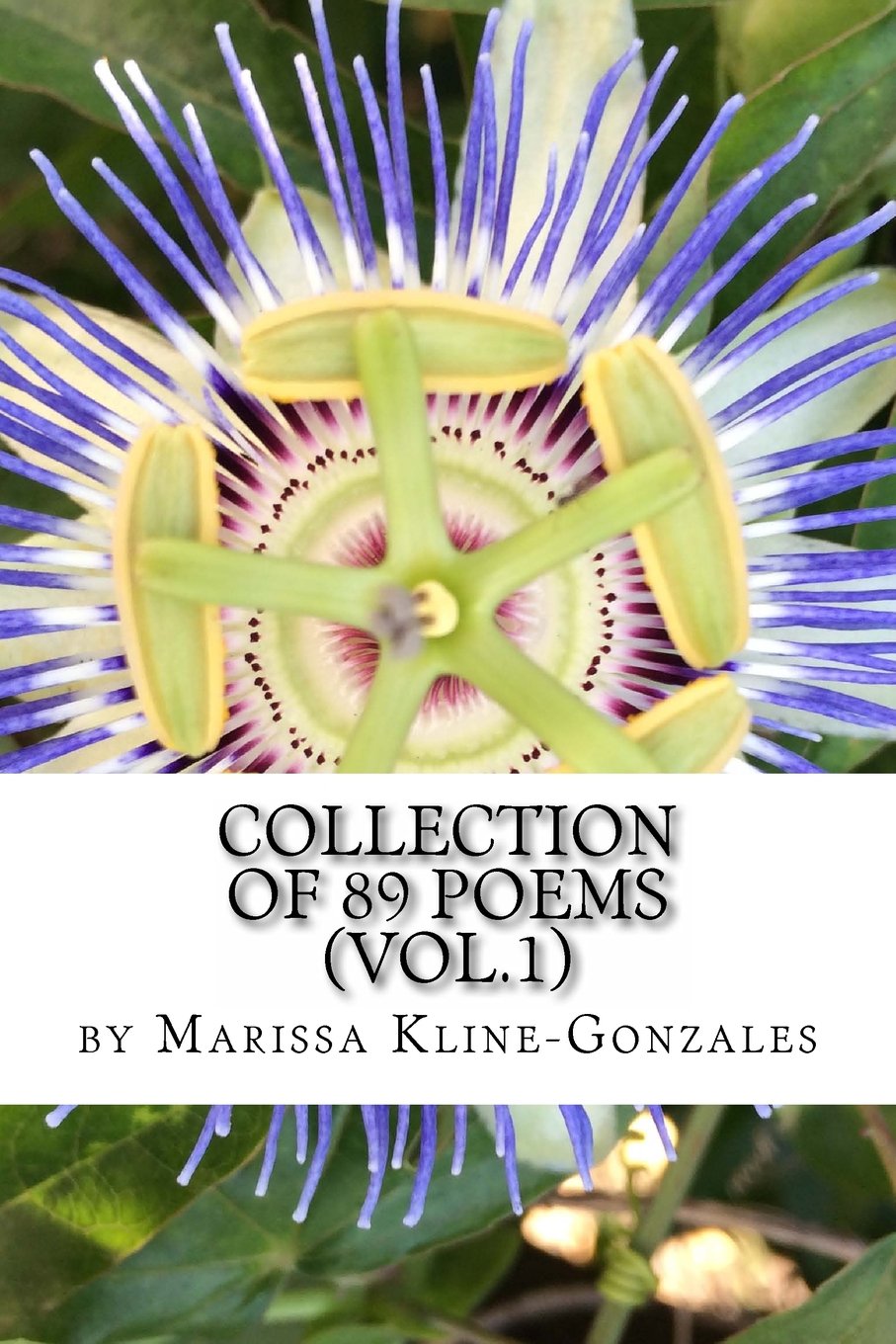 Collection of 89 Poems (Vol. 1) Poetry