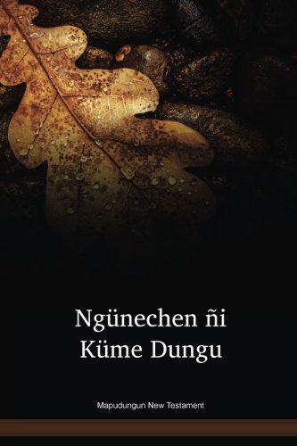Product Image: Mapudungun New Testament