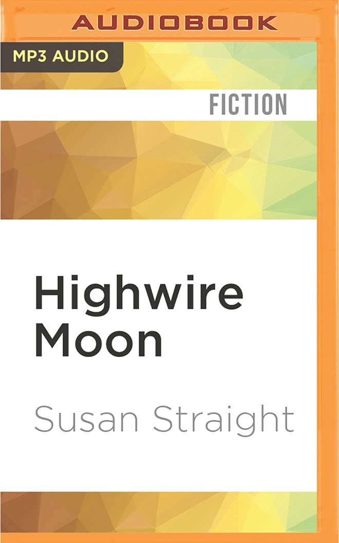 Highwire Moon (Rio Seco, California) Historical Fiction