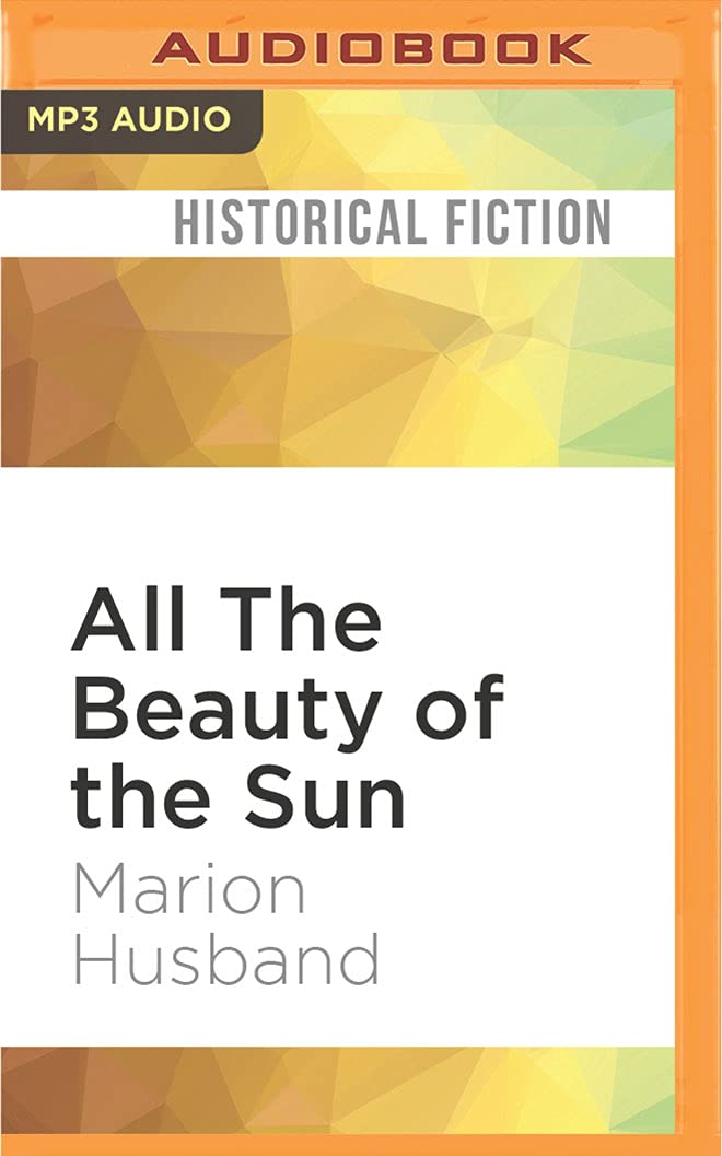 All the Beauty of the Sun (Boy I Love, Band 2) LGBTQ+