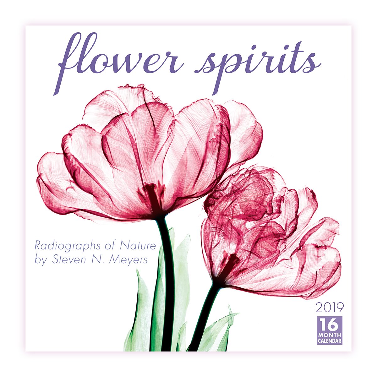 2019 Flower Spirits Radiographs of Nature by Steven N. Meyers 16-Month Wall Calendar: By Sellers Publishing Mathematics