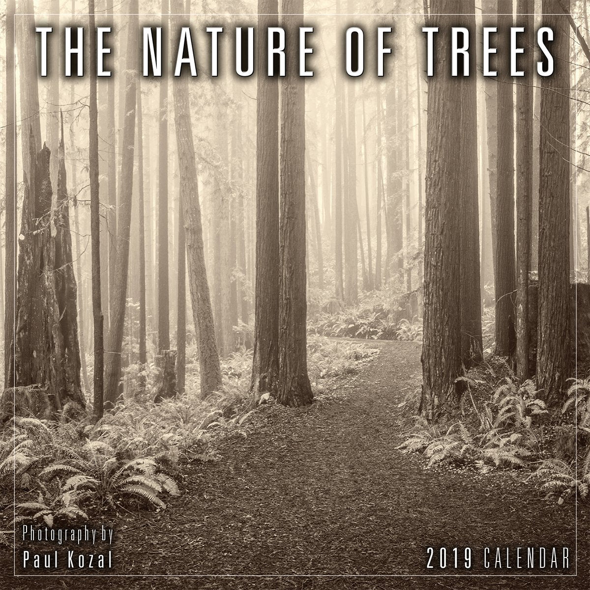 2019 the Nature of Trees Mini Calendar: By Sellers Publishing Natural Sciences