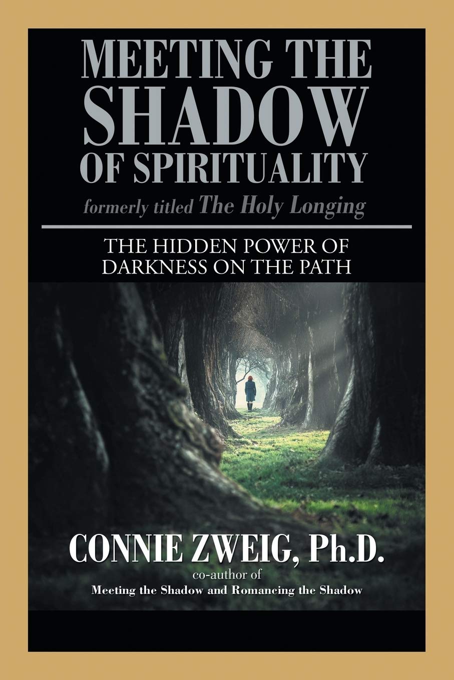 Meeting the Shadow of Spirituality book