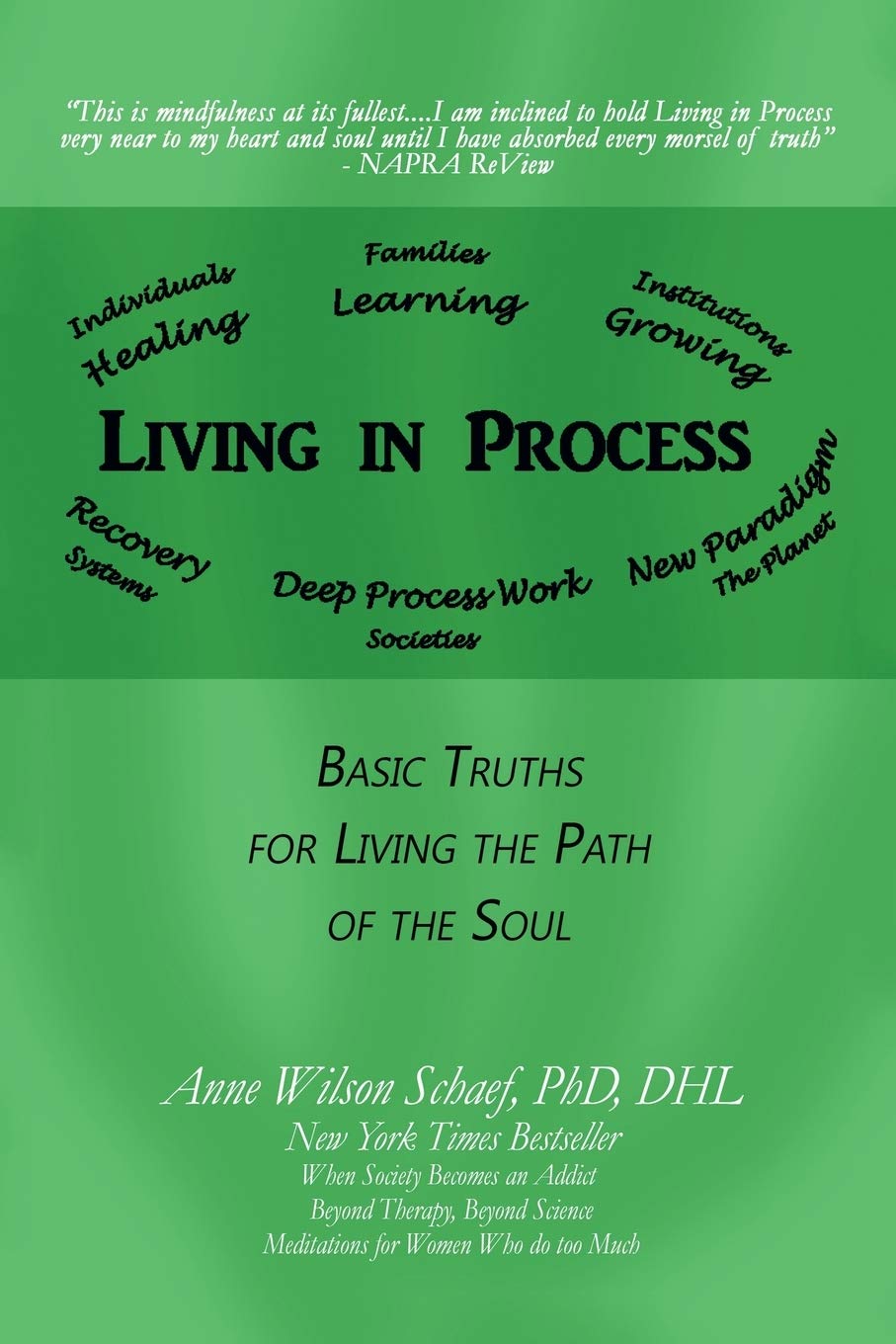 Living in Process: Basic Truths for Living the Path of the Soul Religion & Esotericism