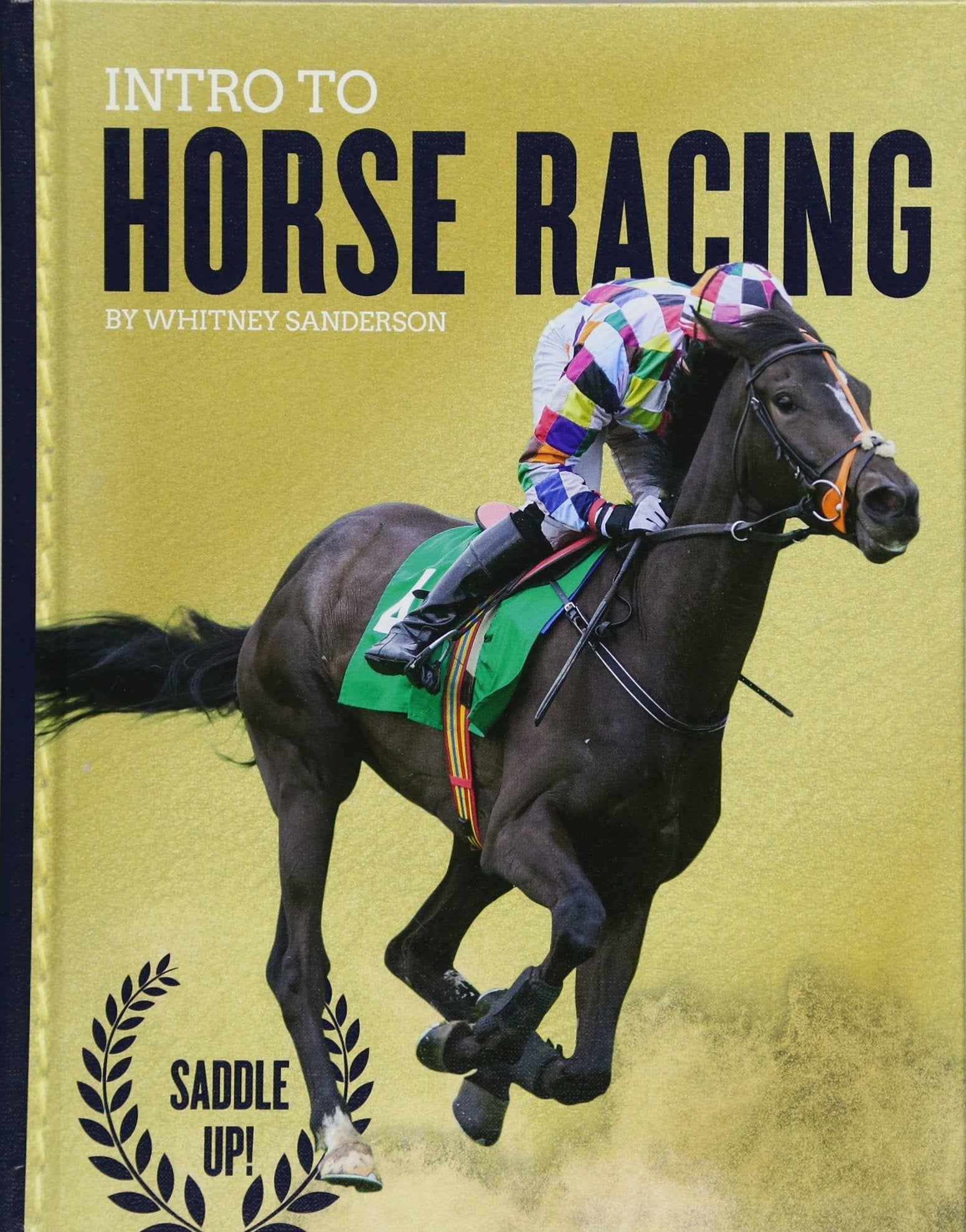 Intro to Horse Racing (Saddle Up!) Leisure & Fun