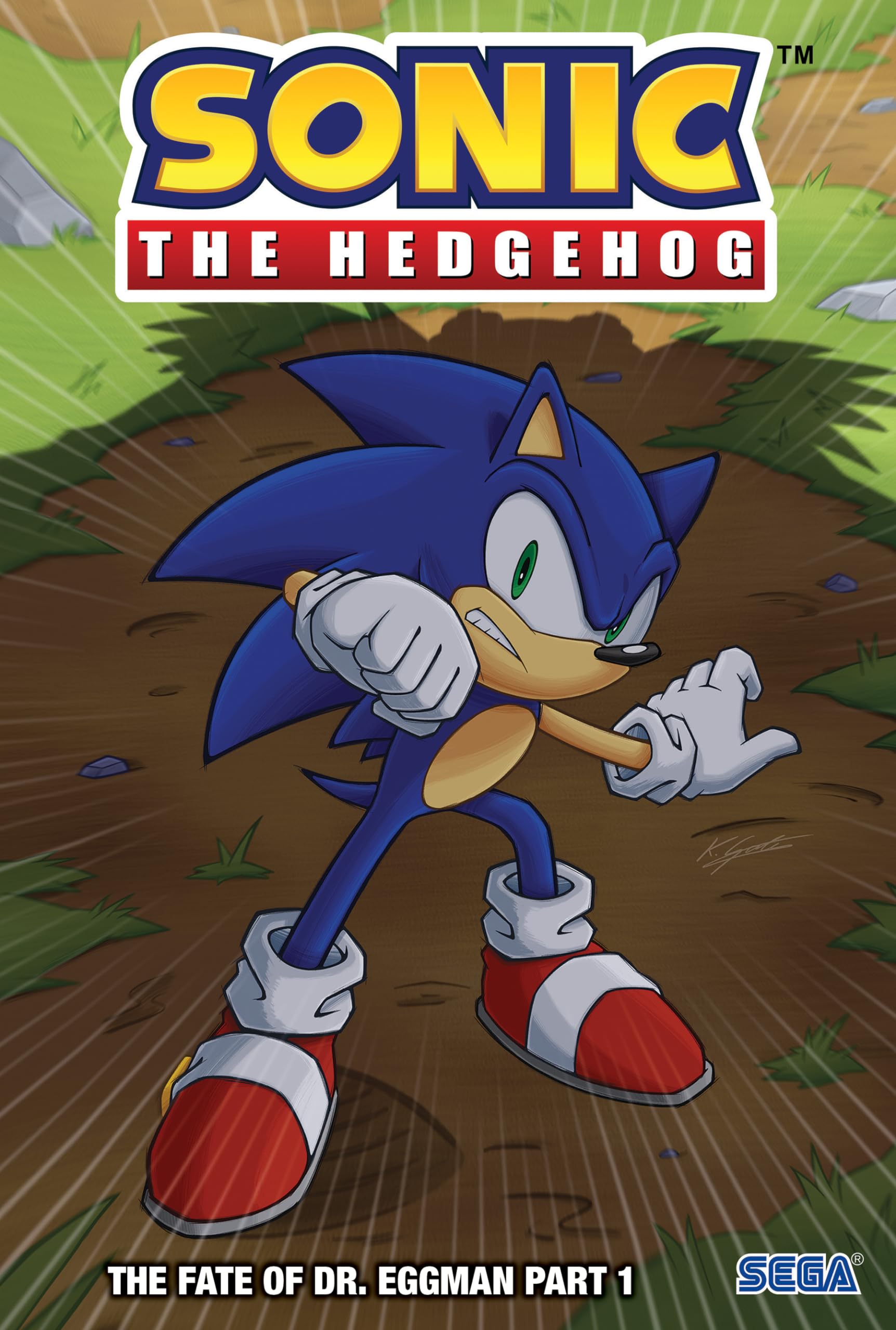 Sonic the Hedgehog - the Fate of Dr. Eggman 1 book