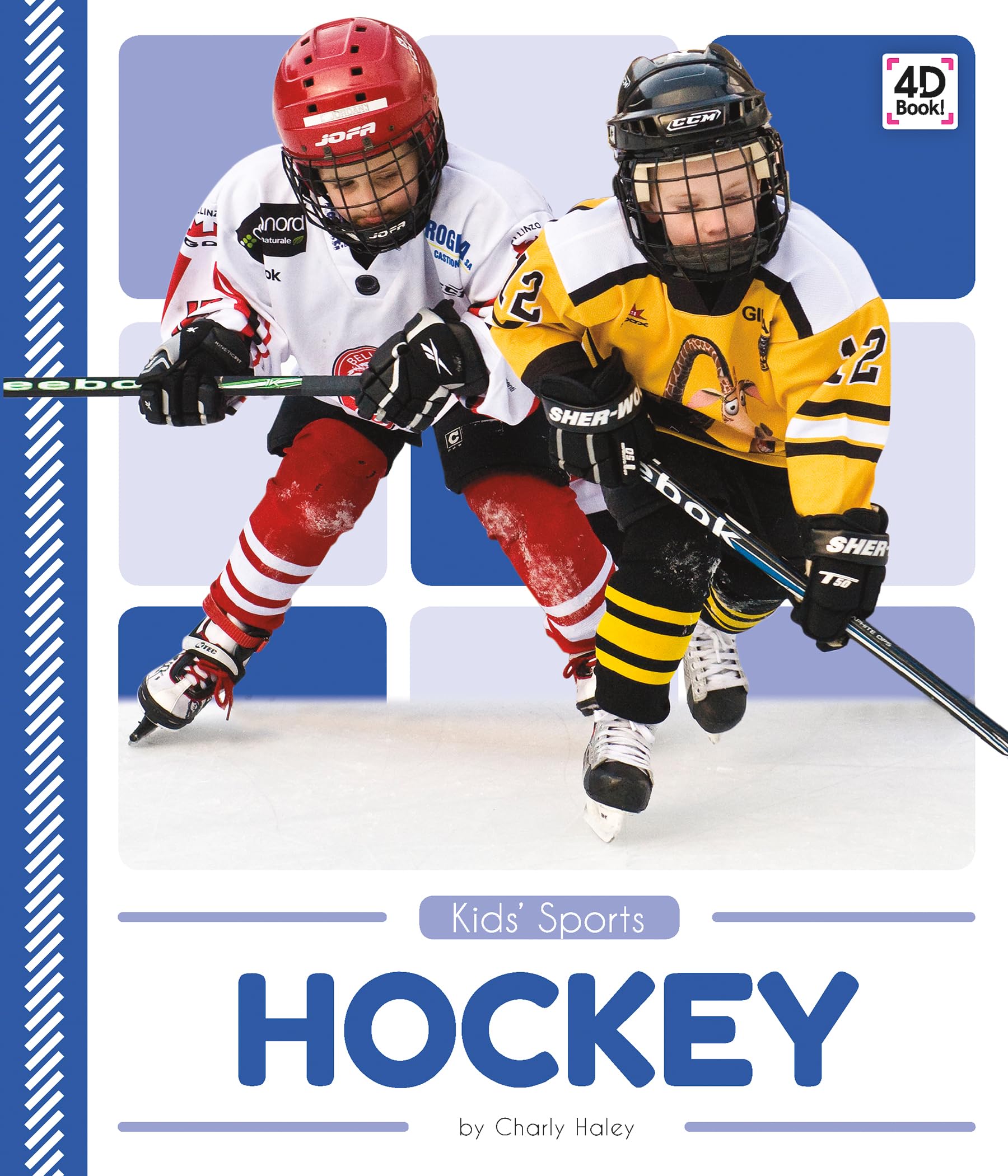 Hockey (Kids' Sports) Leisure & Fun