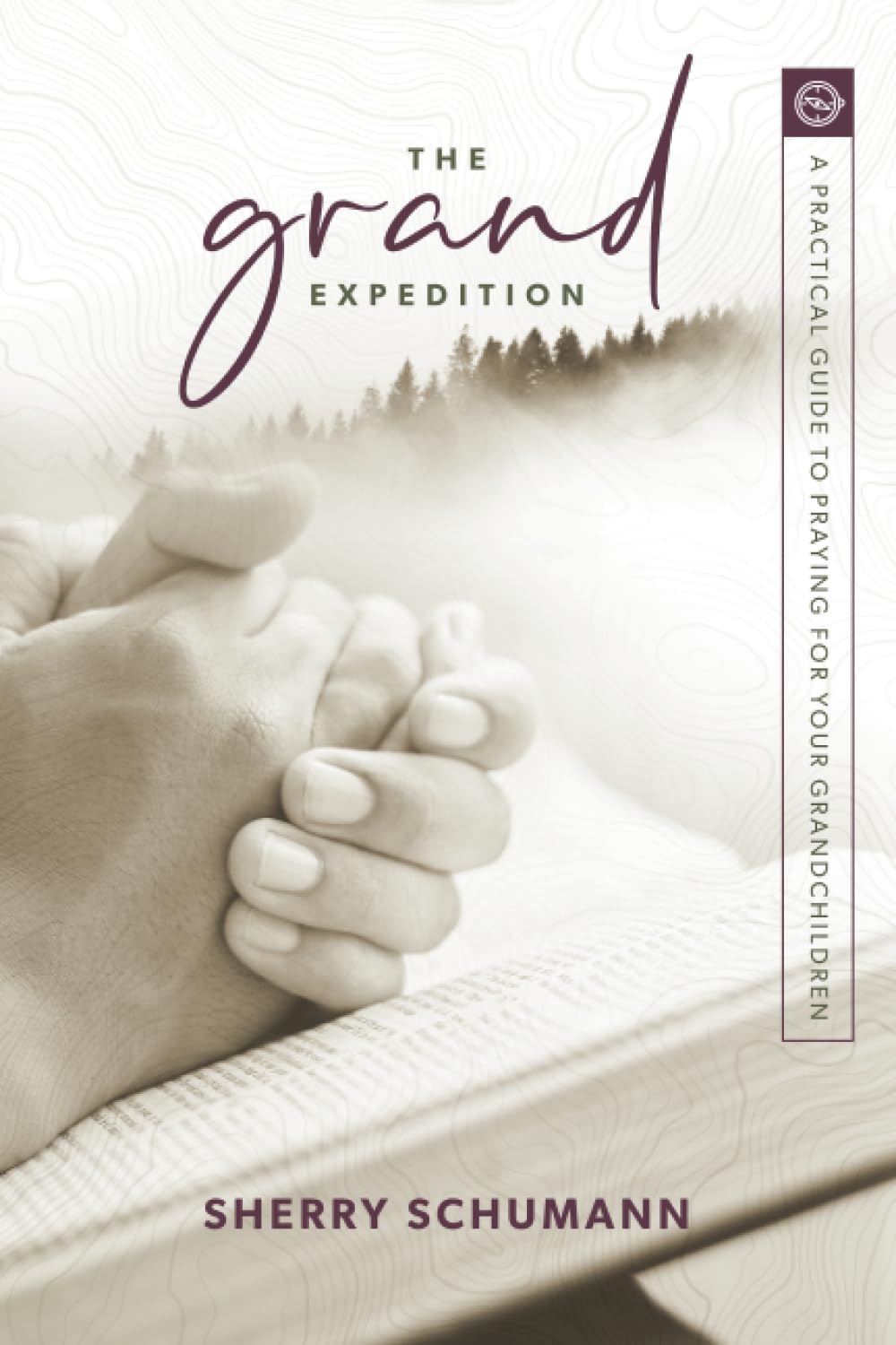 The Grand Expedition: A Practical Guide to Praying for Your Grandchildren Parents & Children