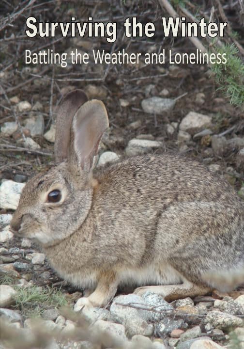 Surviving the Winter: Battling the Weather and Loneliness Philosophy
