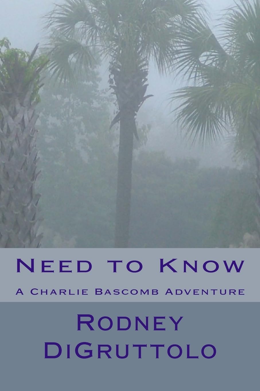 Need to Know: A Charlie Bascomb Adventure (Charlie Bascomb Adventures, Band 1) Action & Adventure