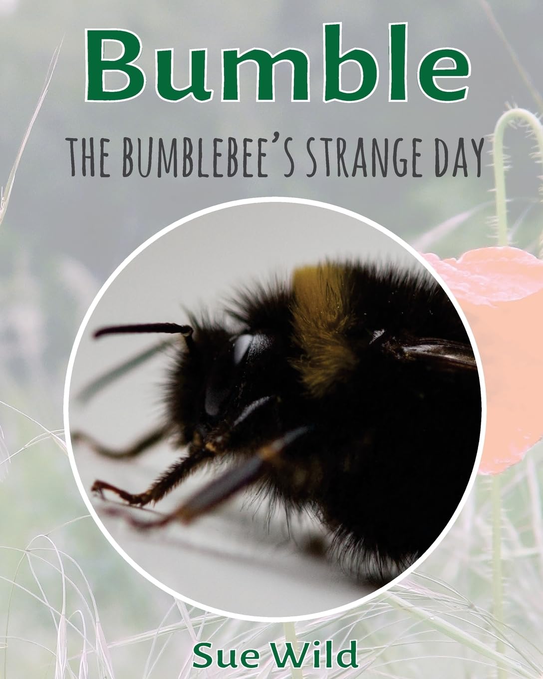 Bumble: The bumblebee's strange day (invertebrates, Band 2) Mathematics