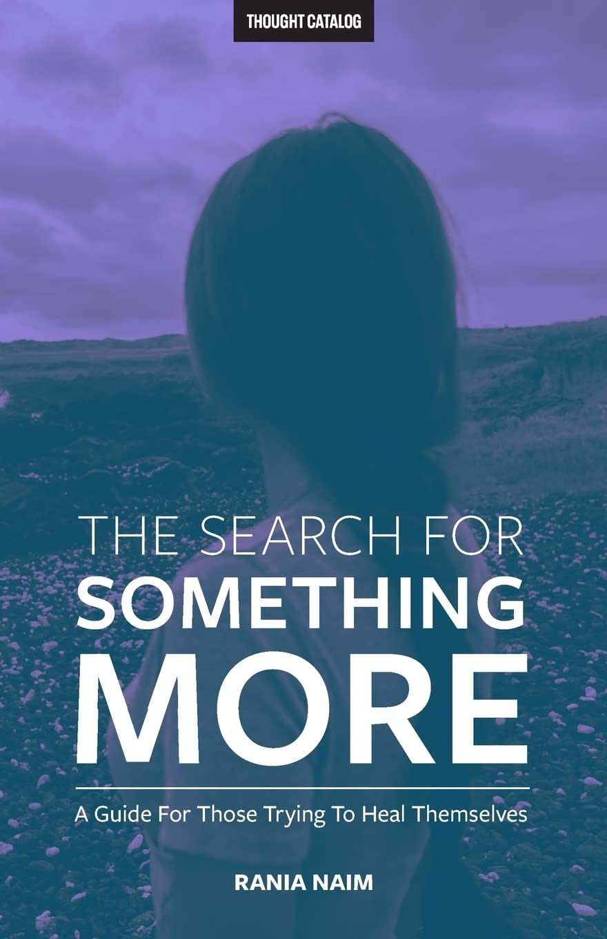 The Search For Something More: A Guide For Those Trying To Heal Themselves book