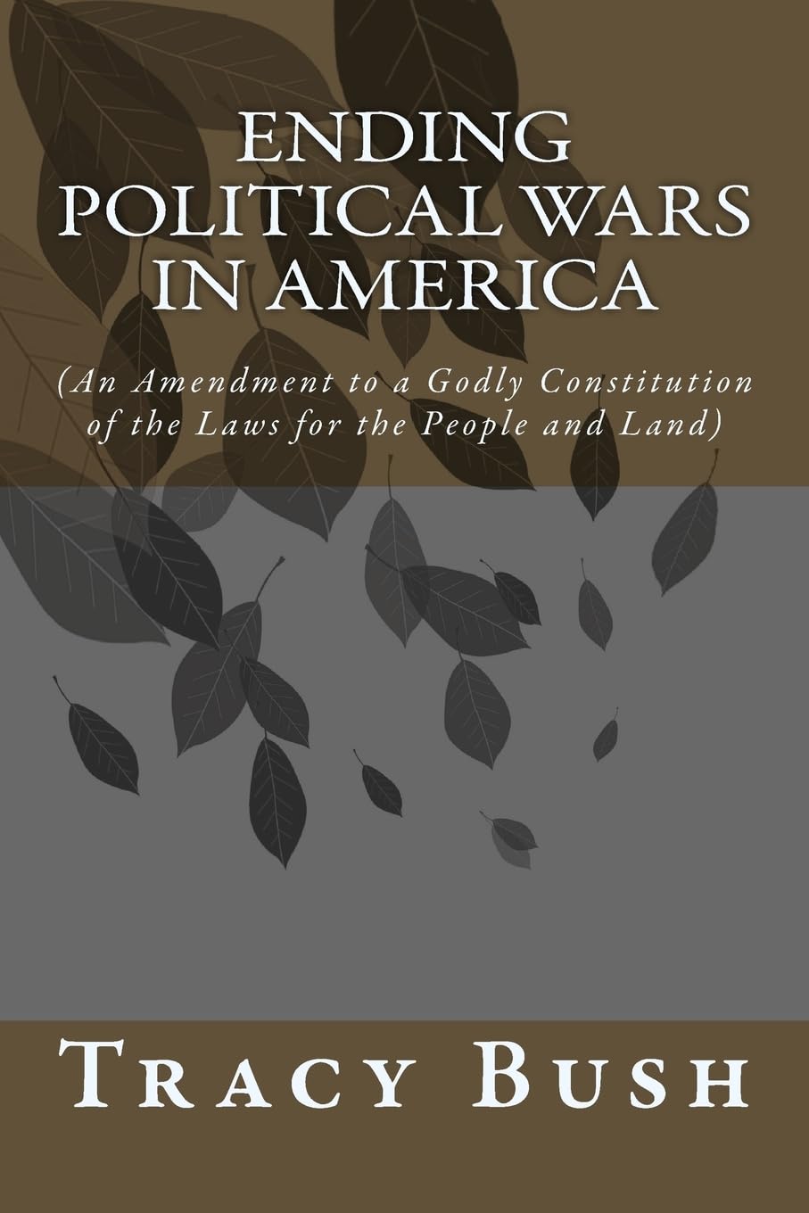 Ending Political Wars in America: (An Amendment to a Godly Constitution of the Laws for the People and Land) Politics & History