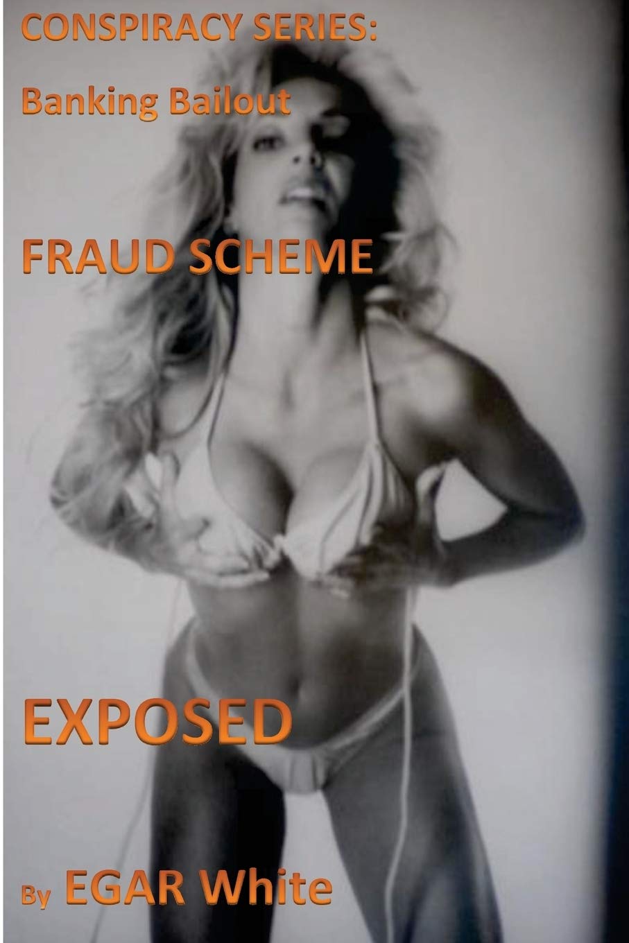 Conspiracy Series Banking Bailout Fraud Scheme: Banksters Steal Hundreds of Millions Poised to Repeat Business, Finance & Career