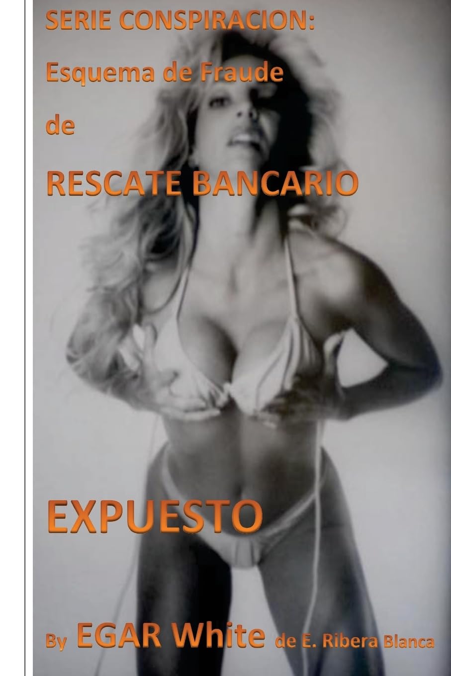 Serie Conspiracion Esquema de Fraude de Rescate Bancario: Banqueros Roban Cientos de Millones a Punto de Repetir (Conspiracy Series, Band 9) Business, Finance & Career