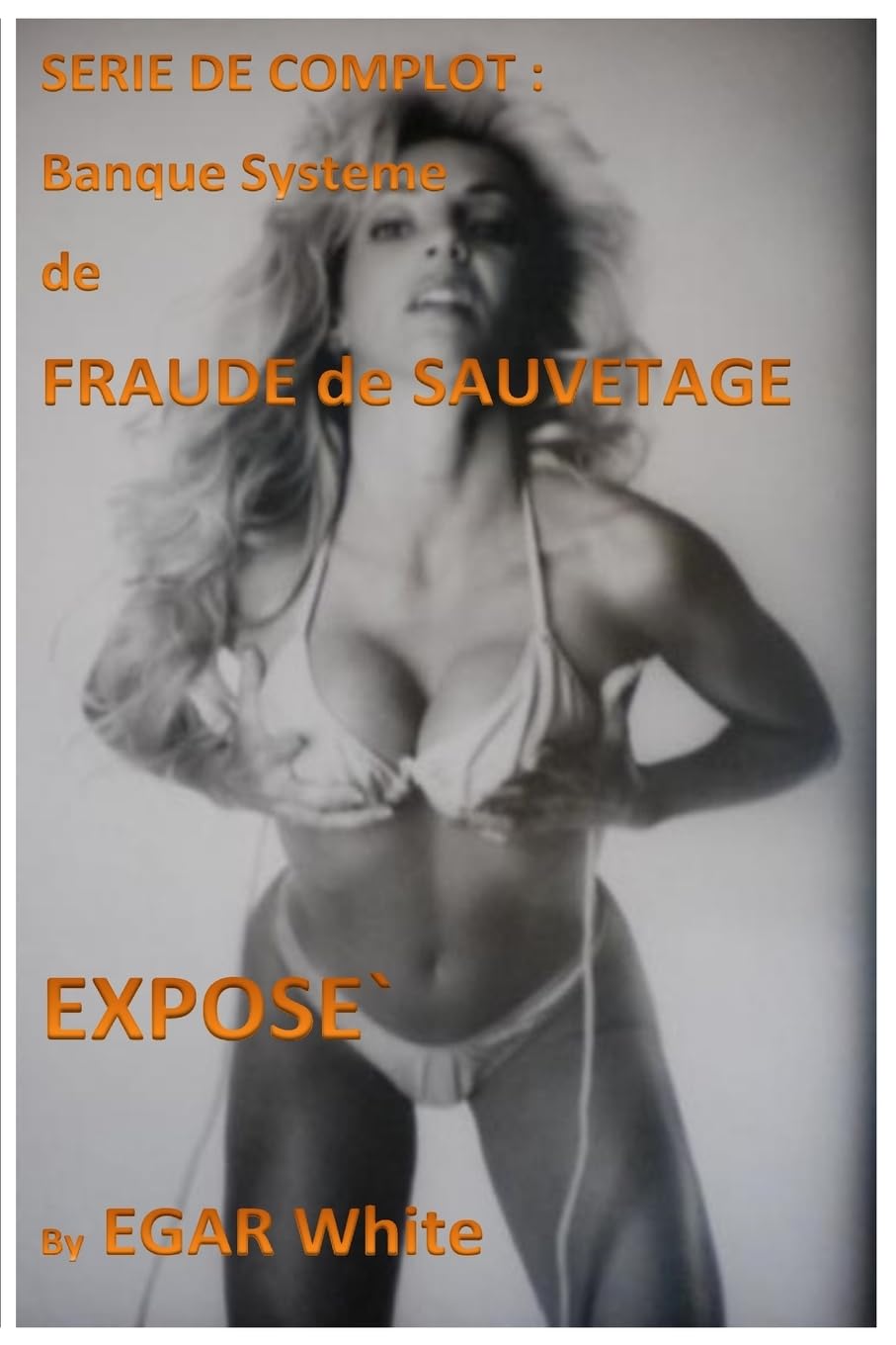 Série de Complot Banque Système de Fraude de Sauvetage: Banksters Voler des Centaines de Millions Prête à Répéter (Conspiracy Series, Band 10) Business, Finance & Career