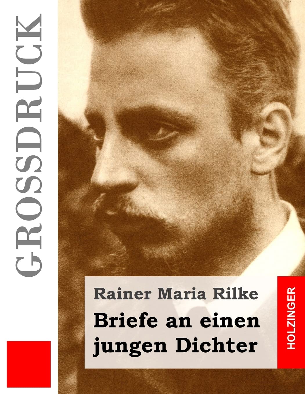 Briefe an einen jungen Dichter (Großdruck) Essays & Short Stories