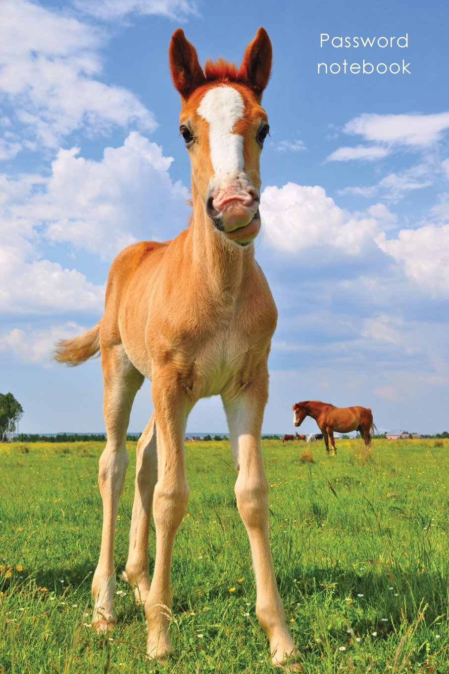 Password notebook: Medium-size internet address and password logbook / journal / diary - Cute foal cover (Horse lover's notebooks) Computer Science
