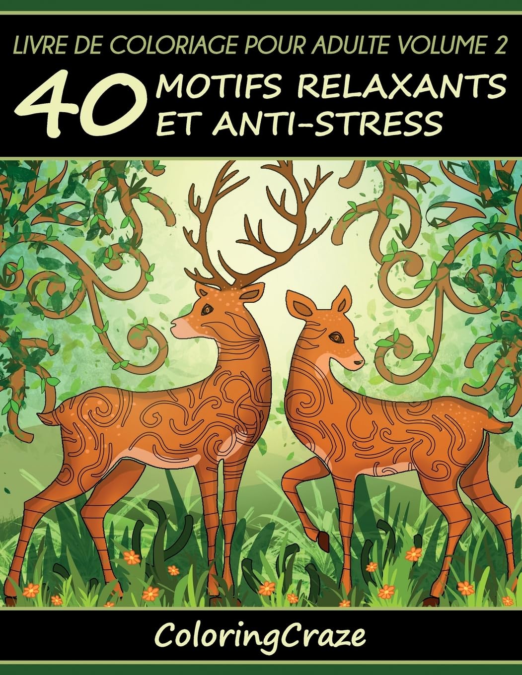 Livre de coloriage pour adulte Volume 2: 40 motifs relaxants et anti-stress, Série de livre de coloriage pour adulte par ColoringCraze book