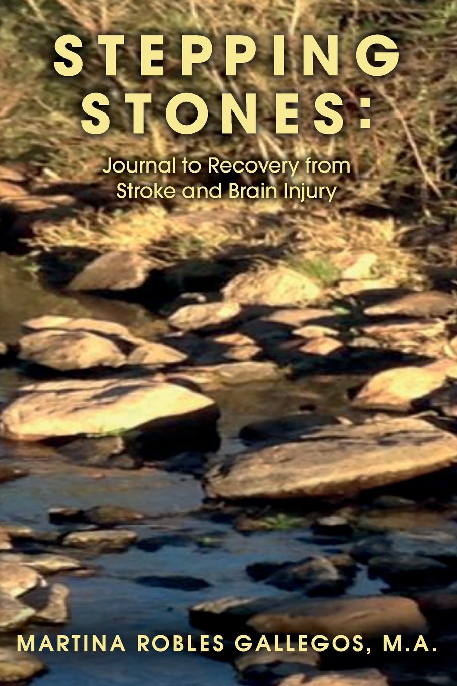 Stepping Stones: Journal to Recovery from Stroke and Brain Injury Memories