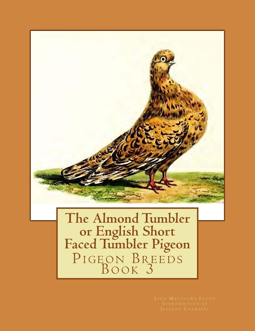 The Almond Tumbler or English Short Faced Tumbler Pigeon: Pigeon Breeds Book 3 Pets