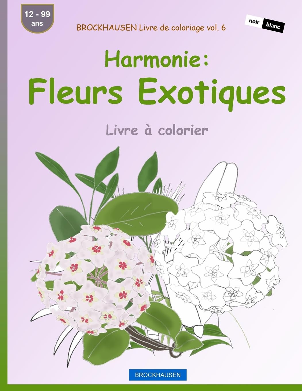 BROCKHAUSEN Livre de coloriage vol. 6 - Harmonie: Fleurs Exotiques: Livre à colorier Mathematics