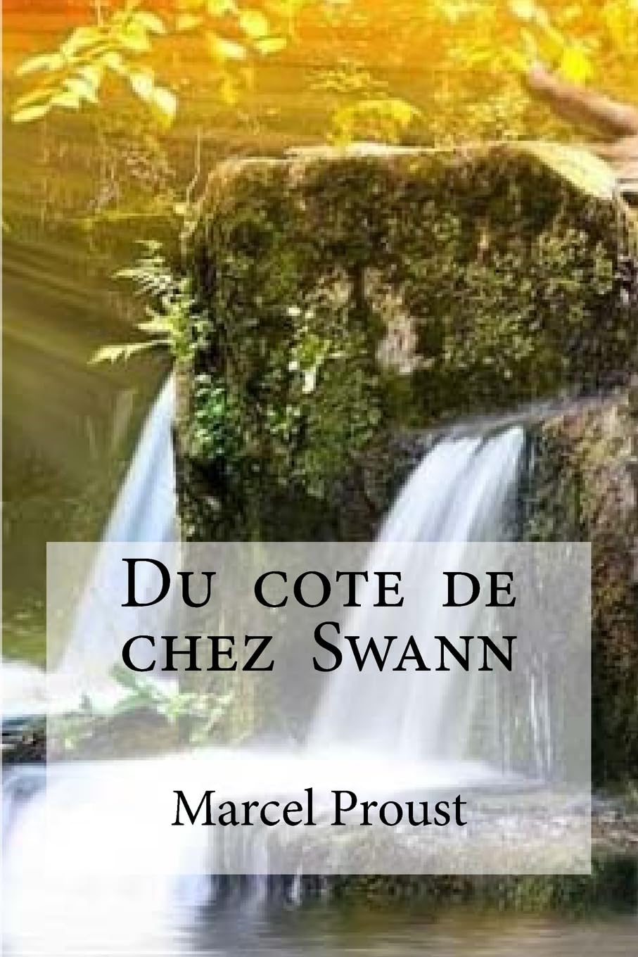 Du cote de chez Swann: À la recherche du temps perdu #1 book