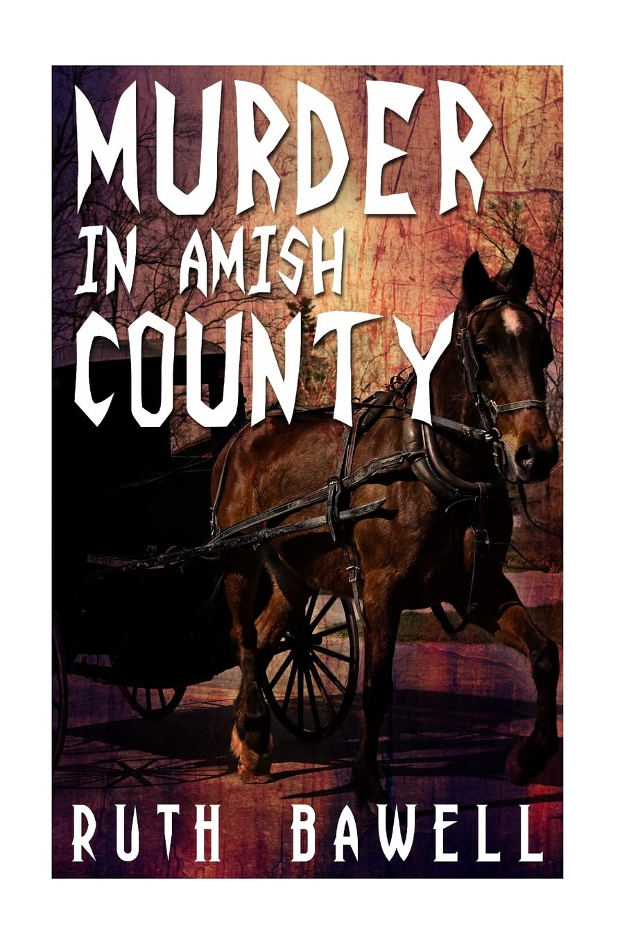 Murder in Amish County (Amish Mystery and Suspense) Religion & Esotericism