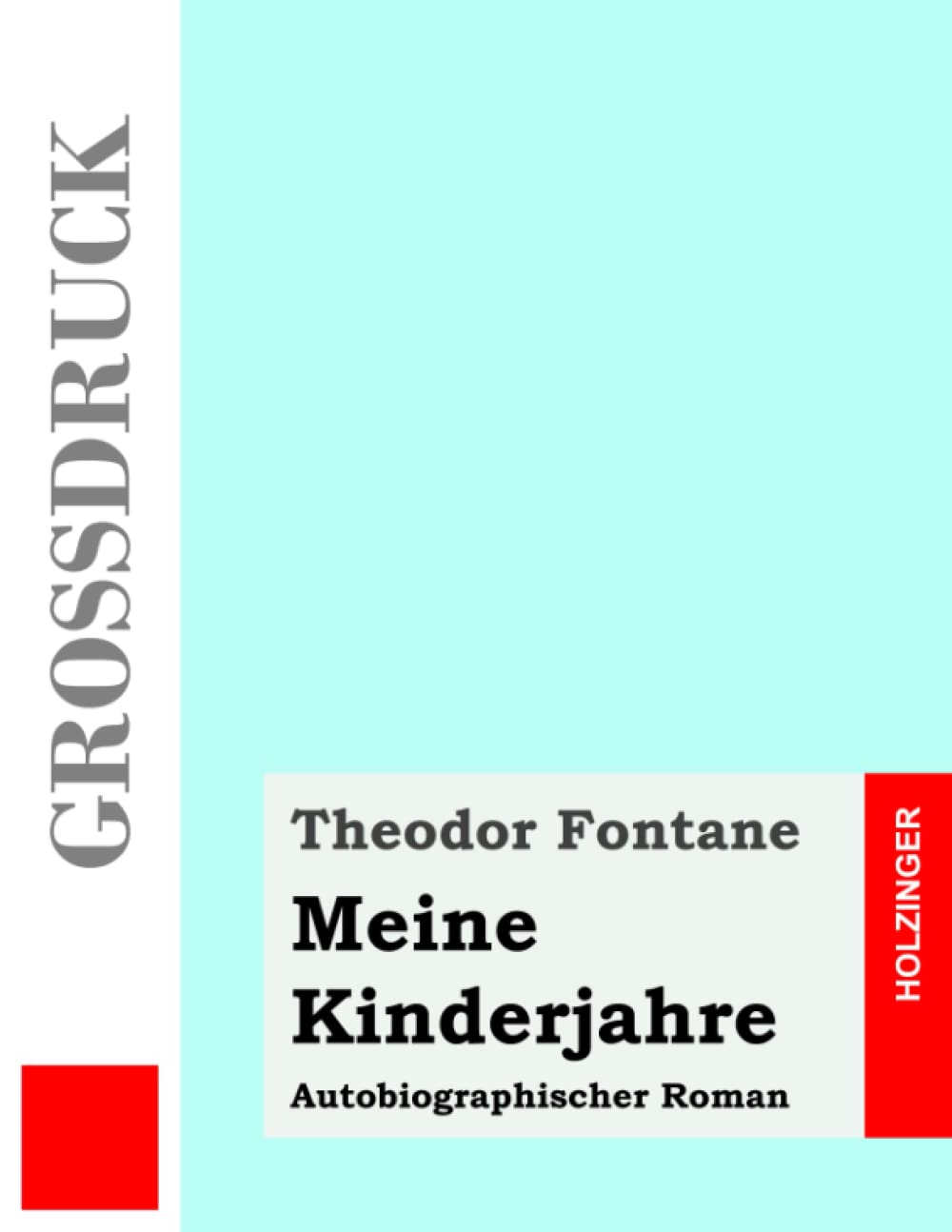 Meine Kinderjahre (Großdruck): Autobiographischer Roman Contemporary literature