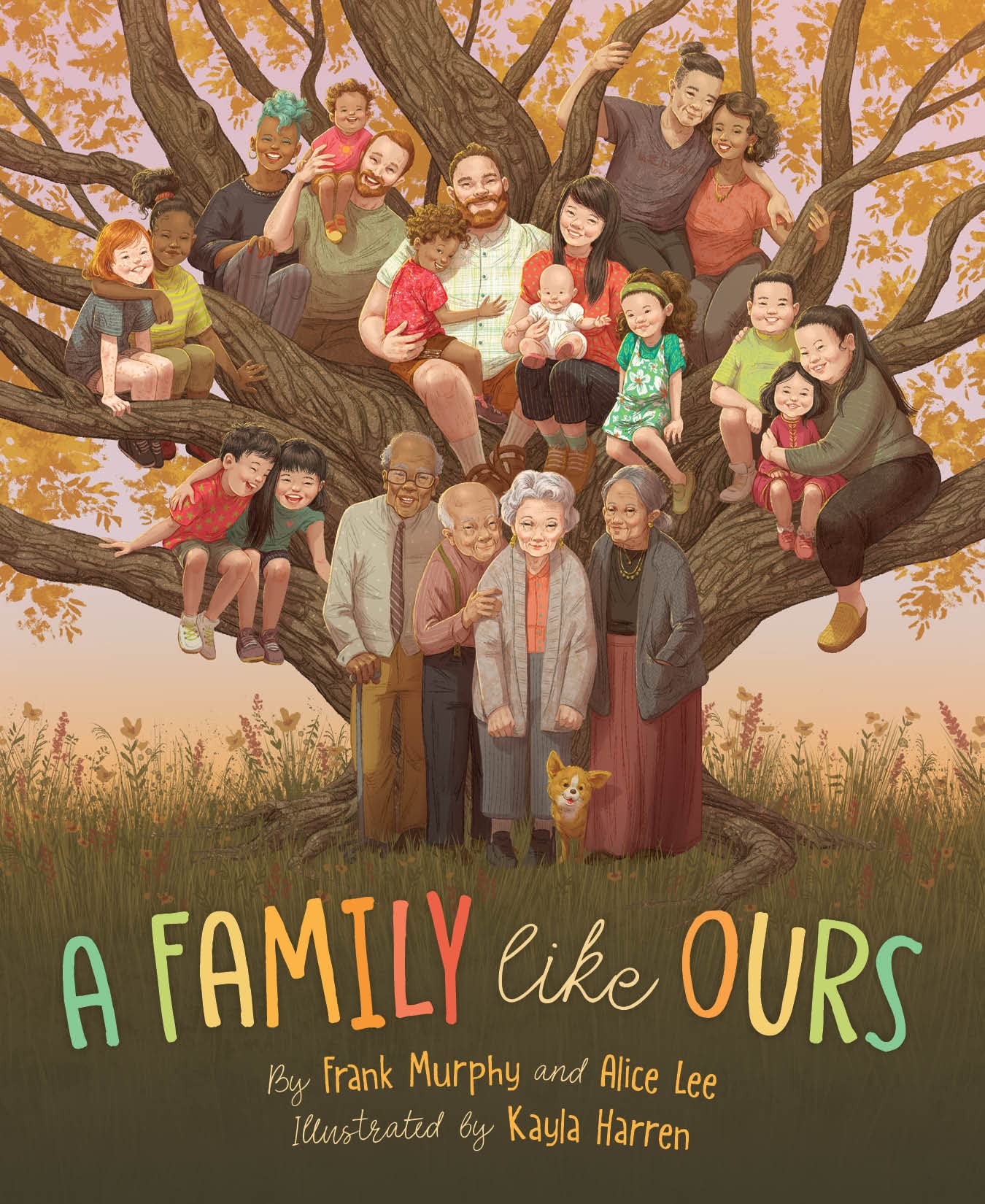 A Family Like Ours (Like You) Non-fiction