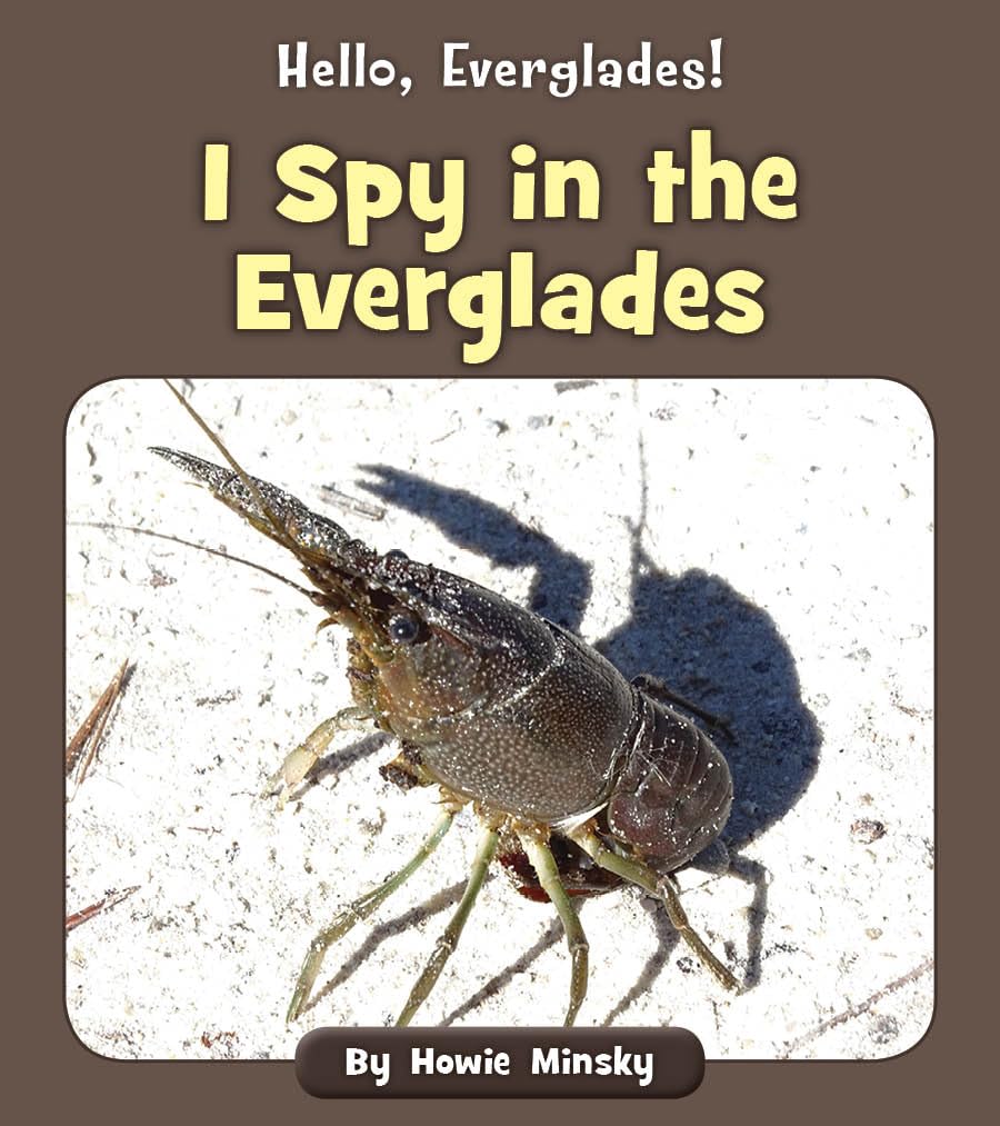 I Spy in the Everglades Non-fiction