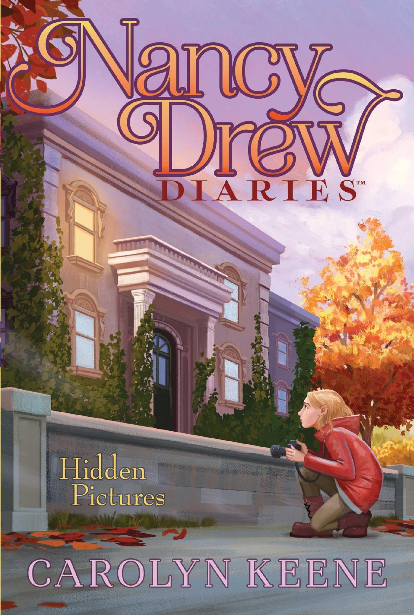 Hidden Pictures: Volume 19 (Nancy Drew Diaries, Band 19) Novels & Short Stories