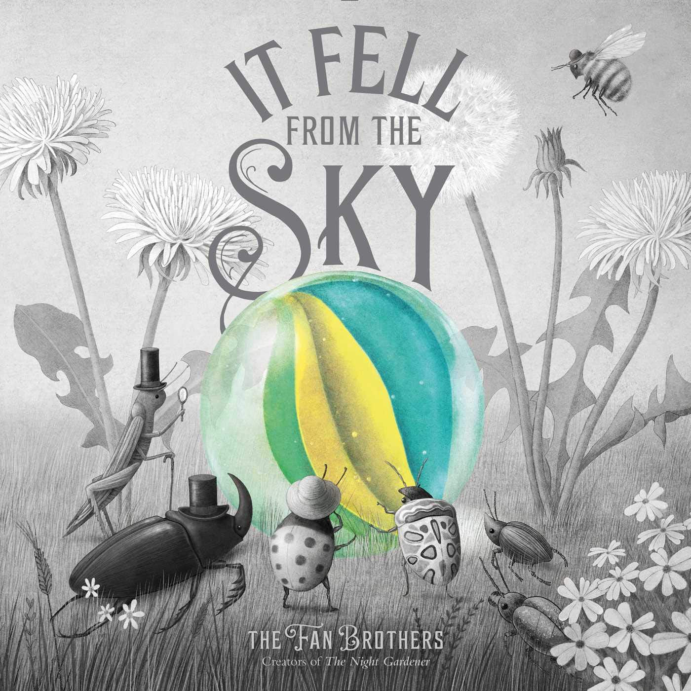 It Fell from the Sky Non-fiction