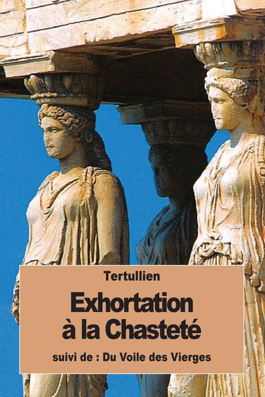 Exhortation à la Chasteté: suivi de : Du Voile des Vierges book