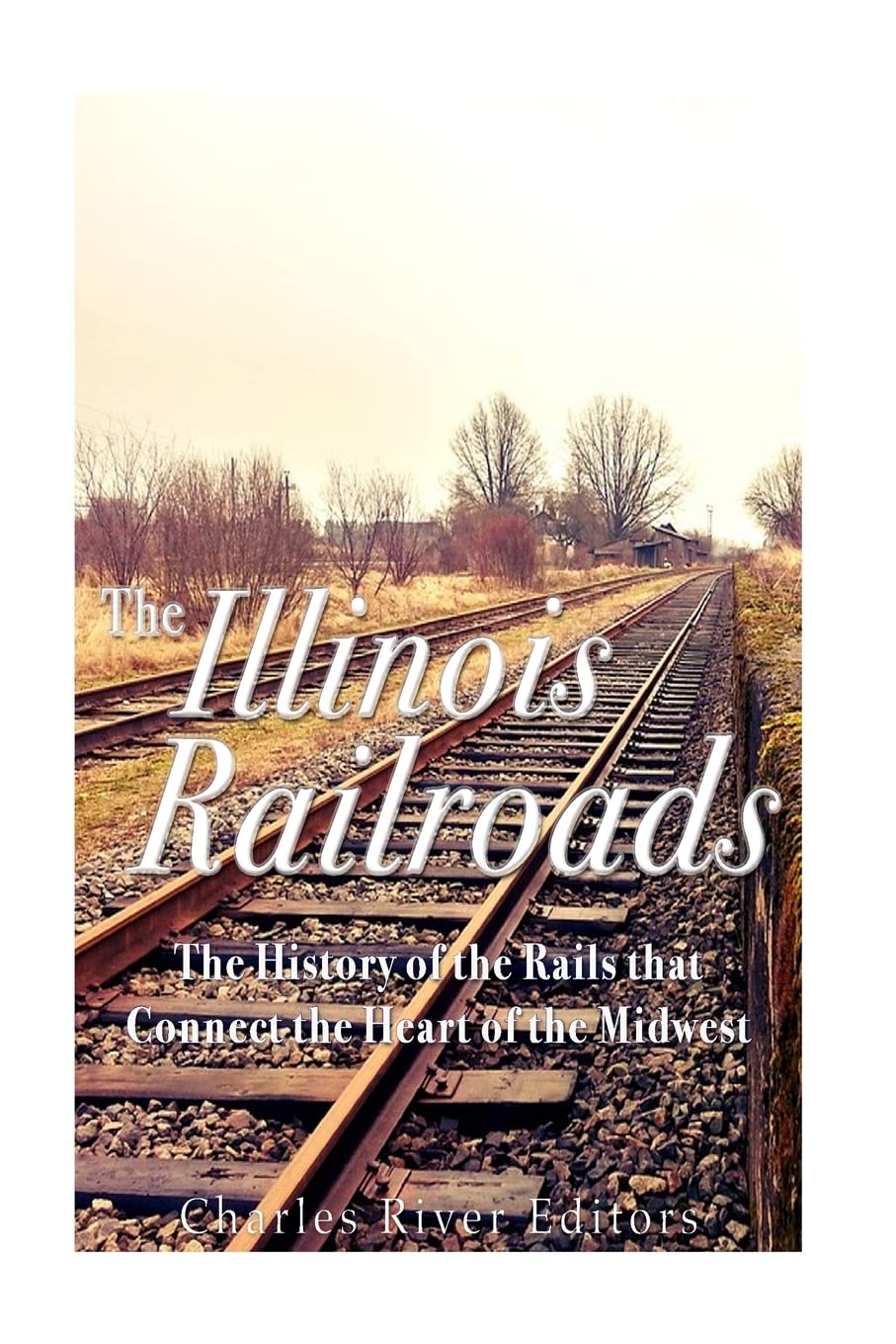 The Illinois Railroads: The History of the Rails that Connect the Heart of the Midwest Politics & History