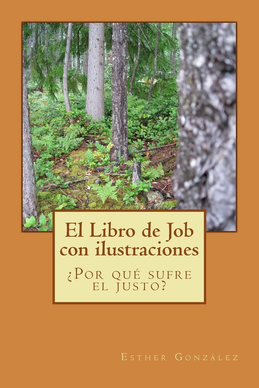 El libro de Job con ilustraciones: ¿Por qué sufre el justo? Religion & Esotericism