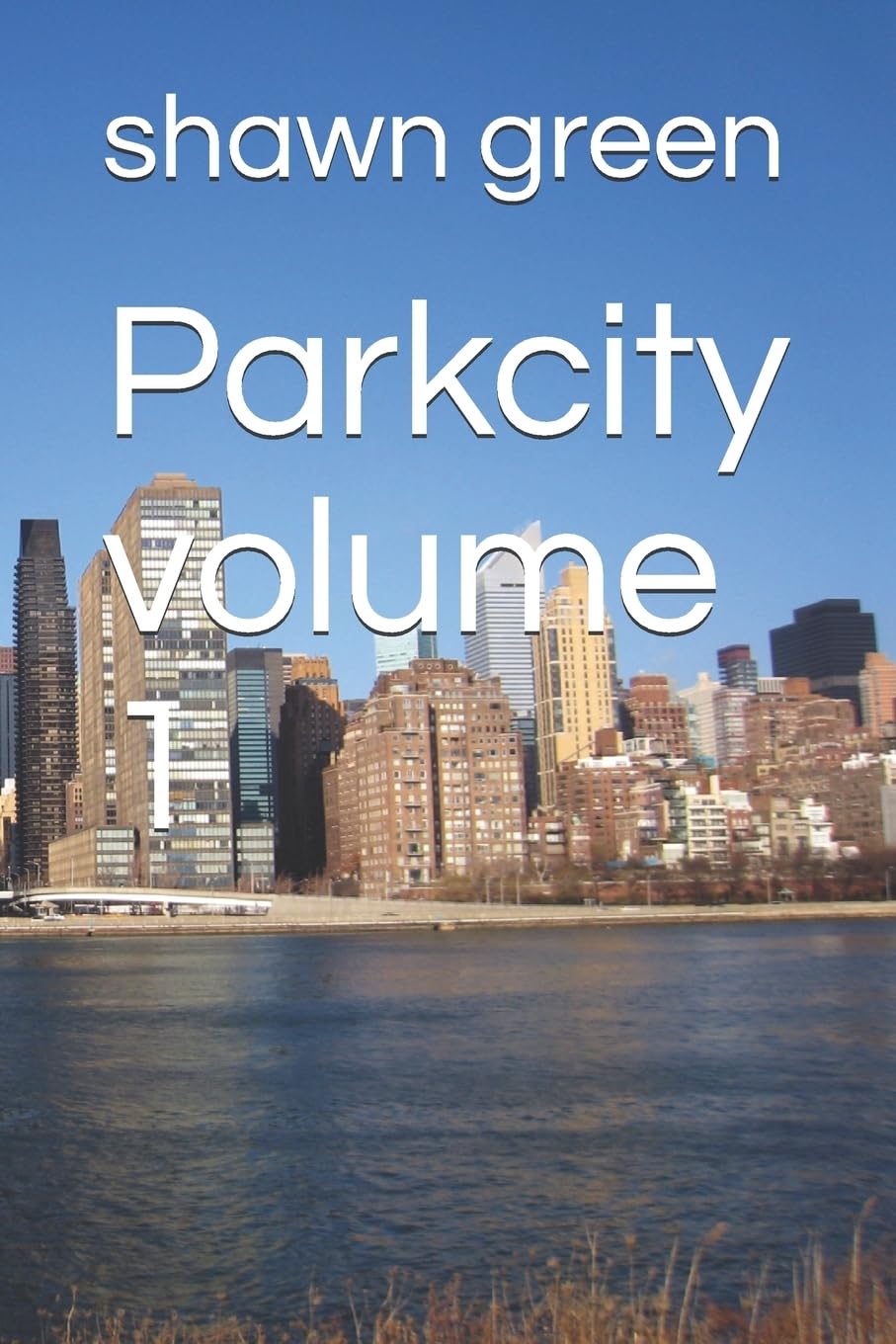 Parkcity volume 1 (Homicide, Band 1) Contemporary literature