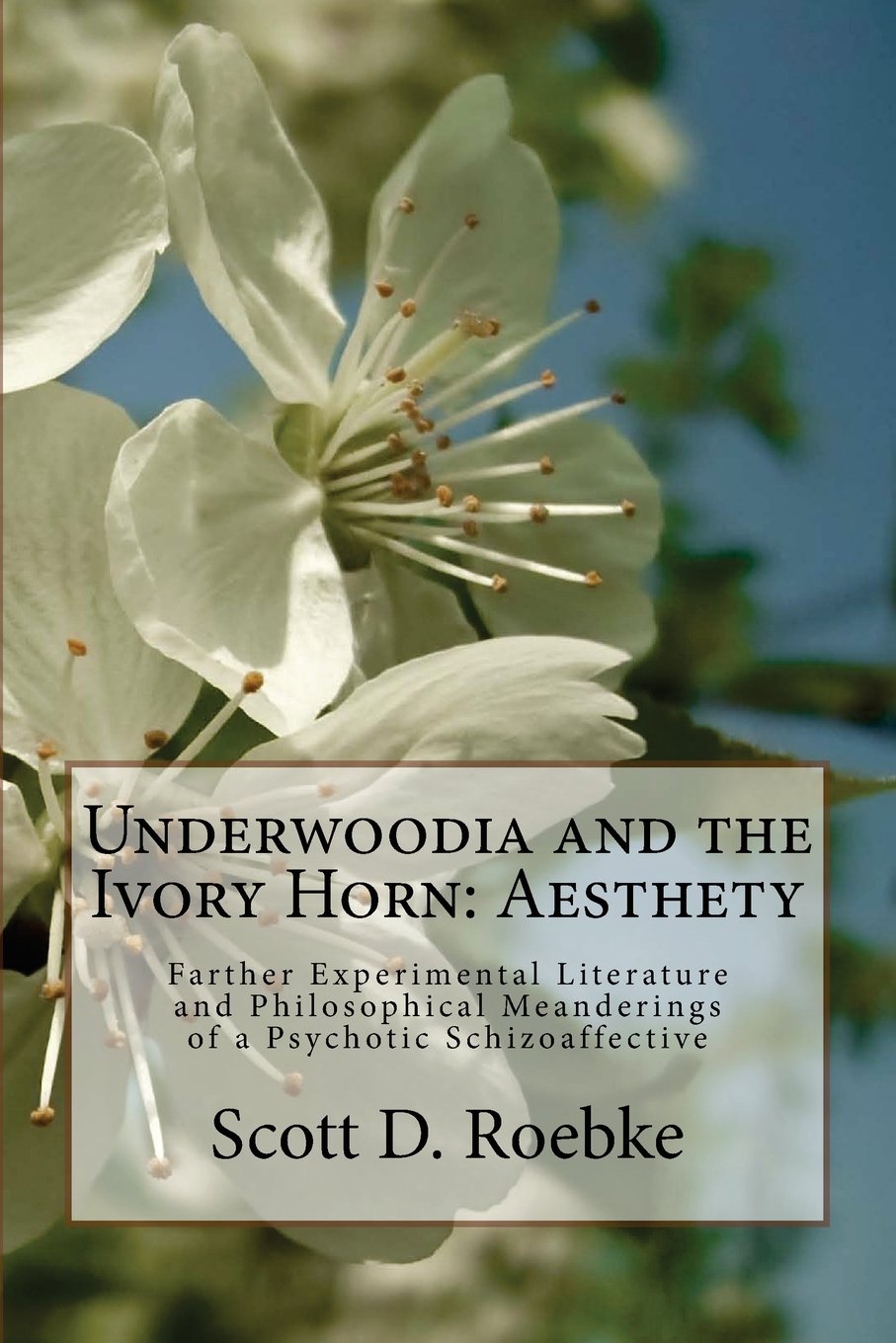 Underwoodia and the Ivory Horn: Aesthety: Farther Experimental Fiction and Philosophical Meanderings of a Psychotic Schizoaffective (The Red Rock Canyon Suite, Band 3) Medicine