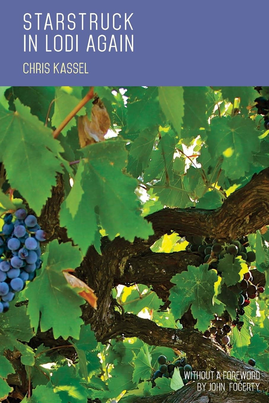 Starstruck in Lodi Again: Lodi Wine Country Travel