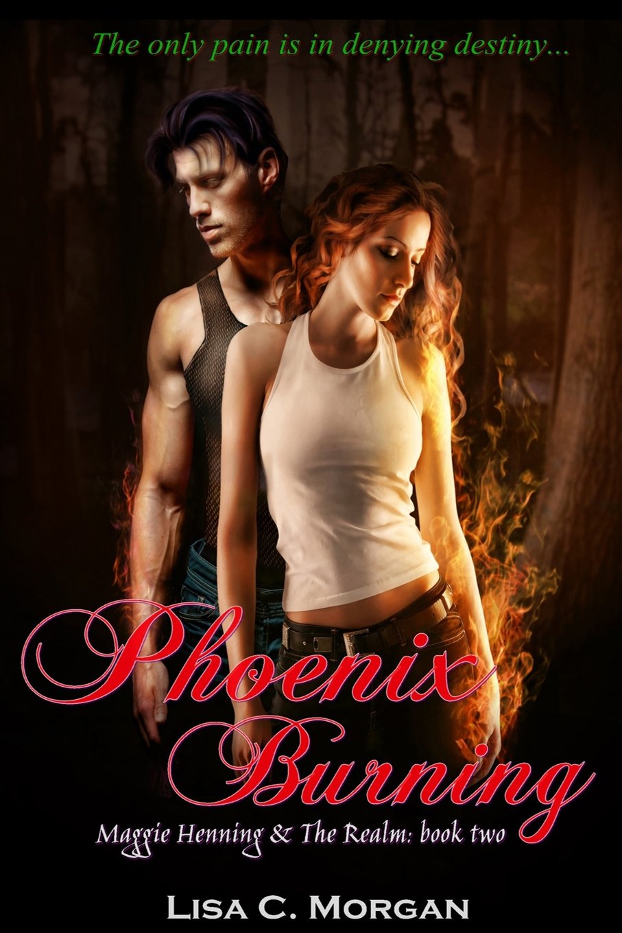 Phoenix Burning (Maggie Henning & The Realm, Band 2) Urban Fantasy