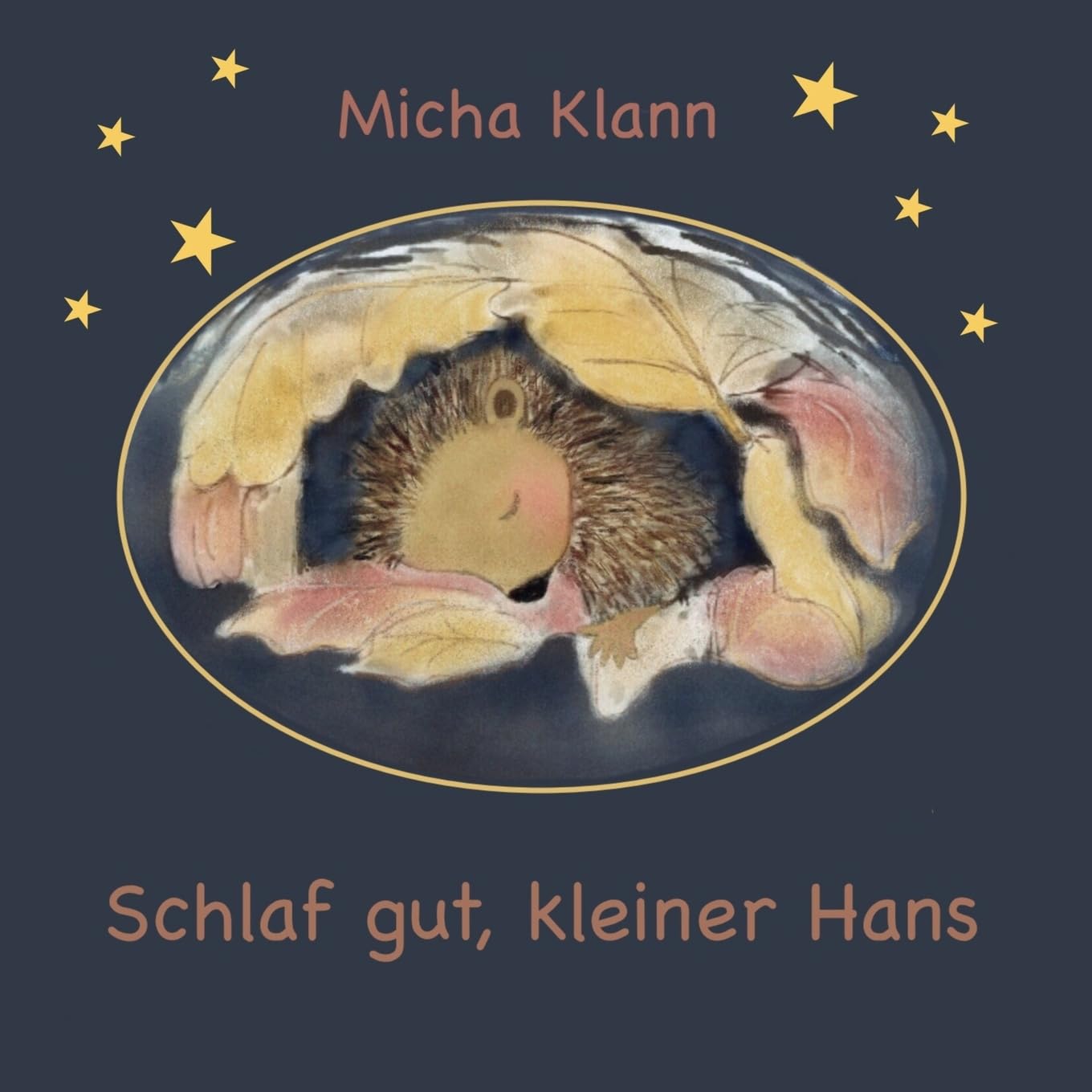 Schlaf gut, kleiner Hans: Die Geschichte vom kleinen Igel Hans, der sich kein Winternest baute. Non-fiction