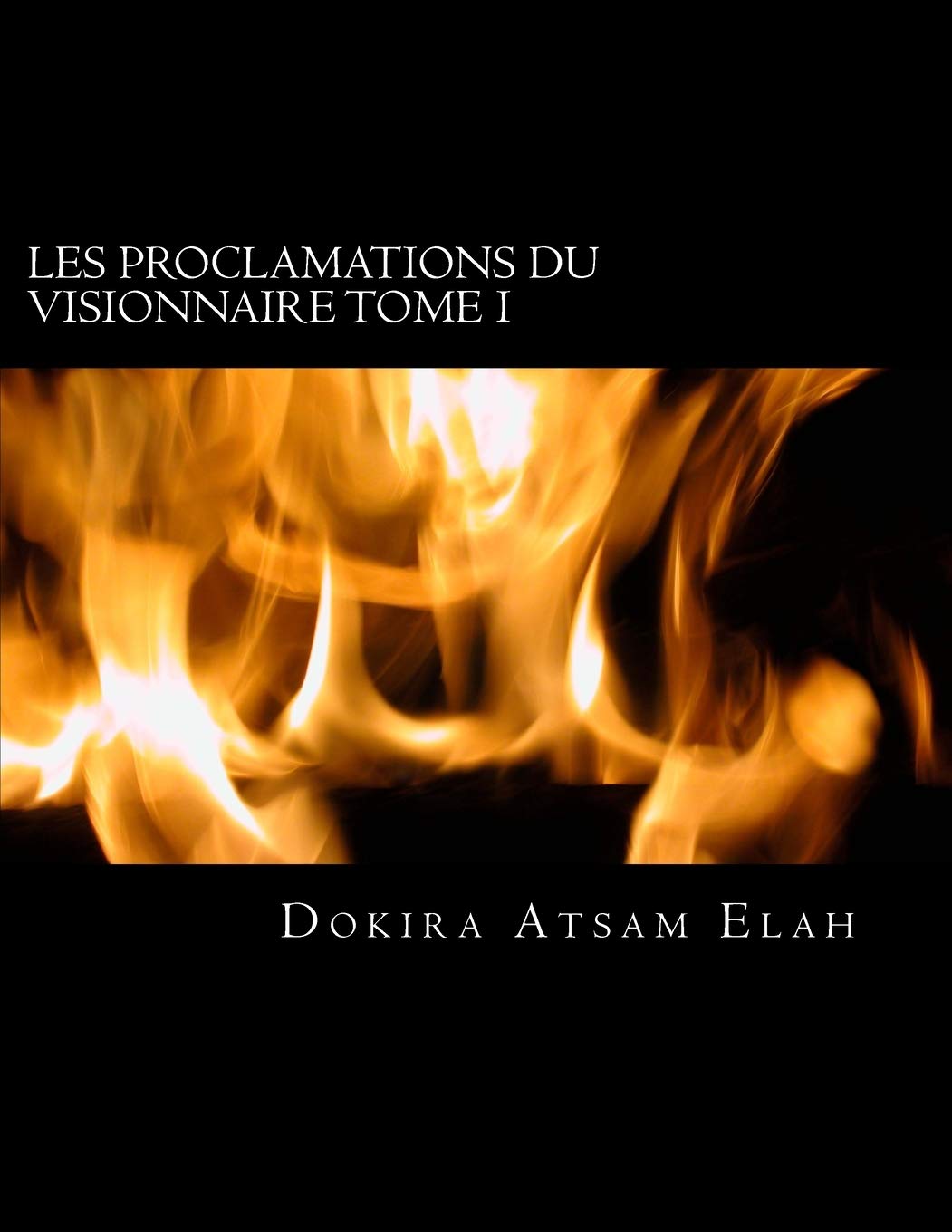 Les Proclamations du Visionnaire, Tome I.: La puissance de la proclamaion book